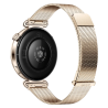 Montre Connectée Huawei Watch GT 6 41mm Gold Strap