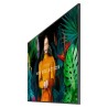 Écran Professionnel Samsung 55" série QMC