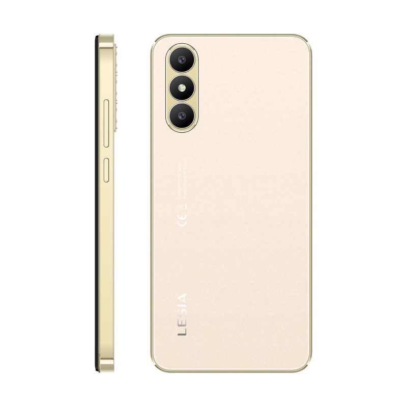Smartphone Lesia Young 2Go 16Go Gold Wincomtech