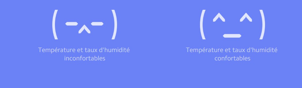 Thermomètre Xiaomi WiFi