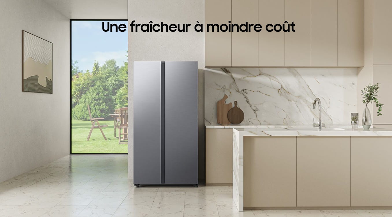 SRéfrigérateur Samsung RS70 Bespoke AI Side by Side 651L fiche technique