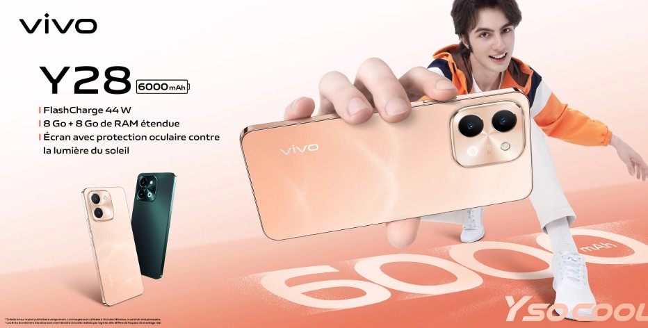 Smartphone Vivo Y28