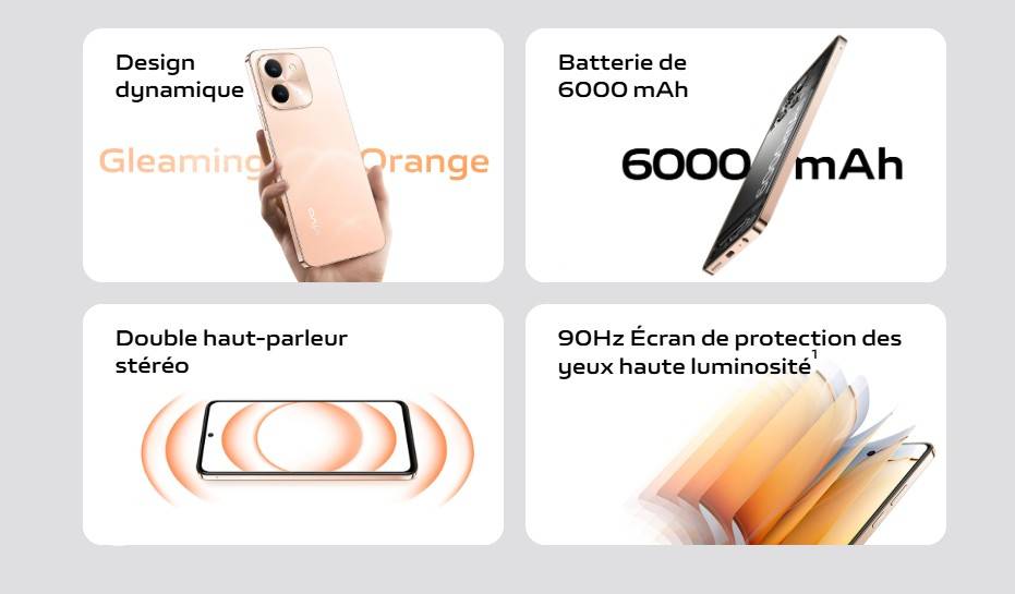 Smartphone Vivo Y28 8Go 256Go